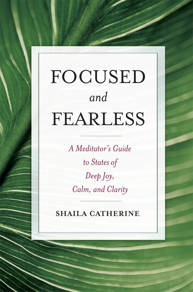 buddhist meditation book Cover: Focused and Fearless by Shaila Catherine