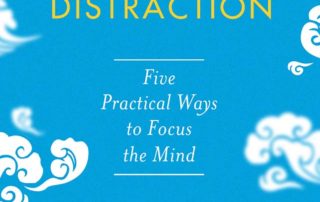 buddhist meditation Book Cover: Beyond Distraction by Shaila Catherine